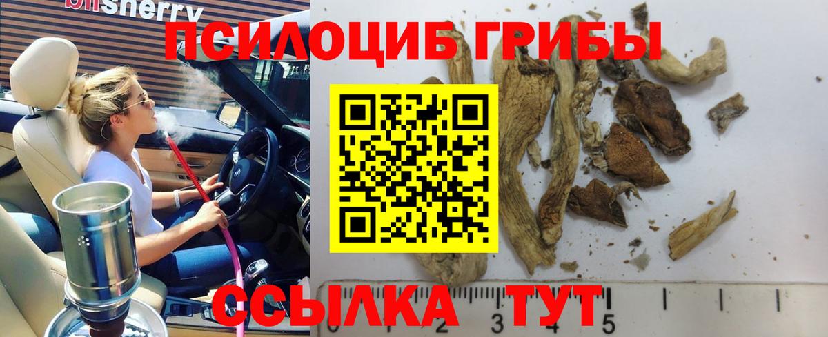 Псилоцибиновые грибы мицелий Спасск-Дальний